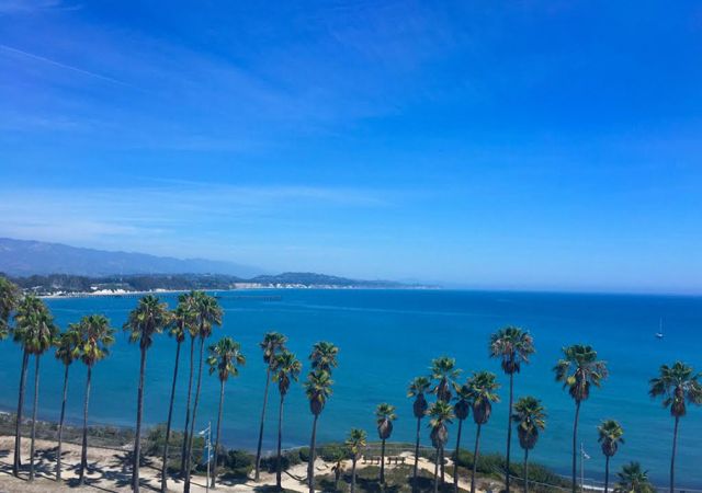 View from the lab