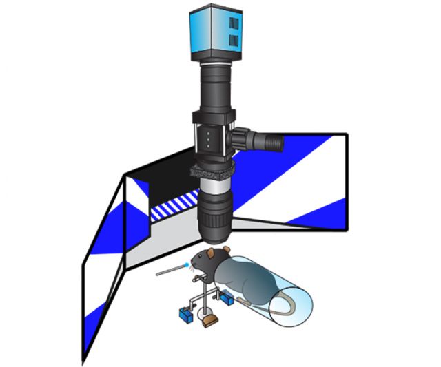 Wide Field Microscope Design