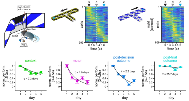 Franco & Goard, 2024