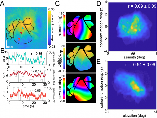 Sit & Goard, Nature Communications, 2020