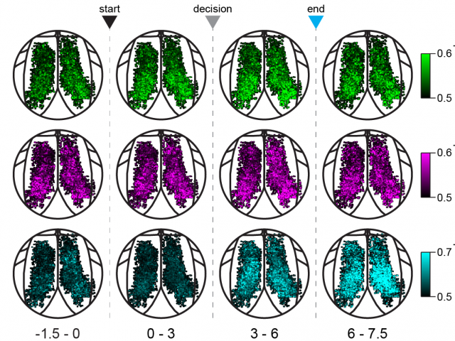 Franco & Goard, Science Advances, 2021